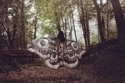 Moth Wing Cape Gray Nature-Inspired Costume Shawl for Festivals Photoshoots Halloween Performances Dance – alternate product 