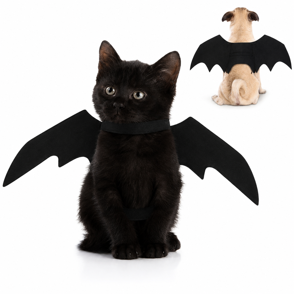 Halloween Accessories Bat Wings Pet Costume – alternate product view 3