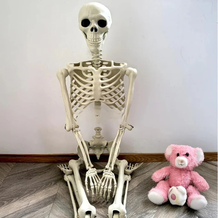 Full Body Skeleton Halloween Decoration with Posable Arms and Legs – alternate product view 5
